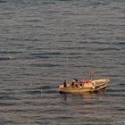 "El bote y su estela de gaviotas"