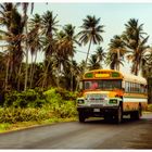 El Bus del Colegio