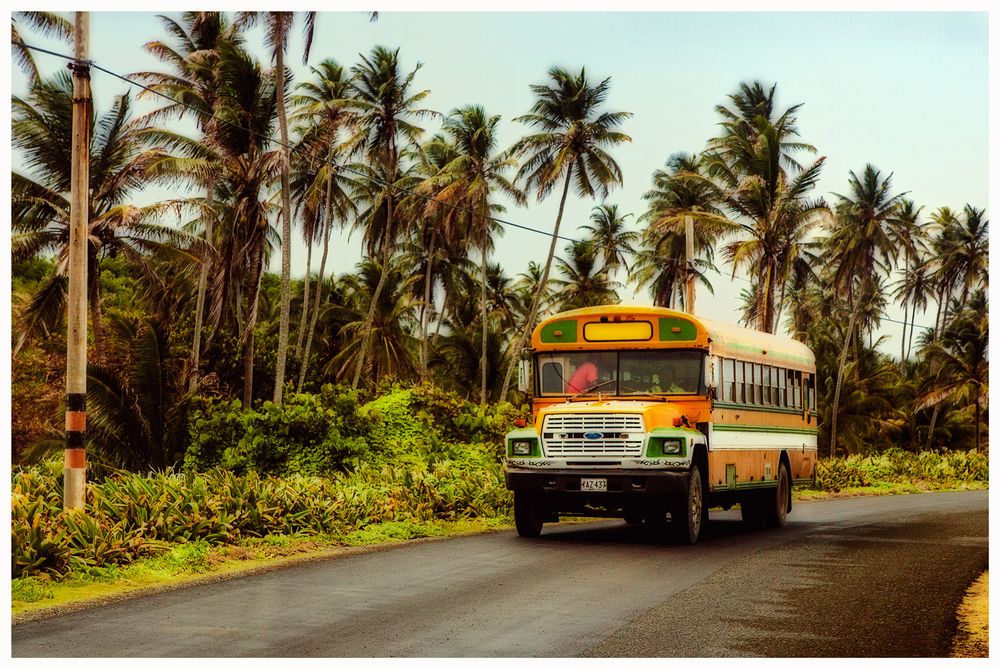 El Bus del Colegio