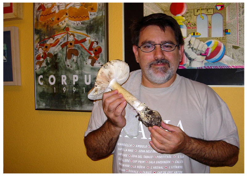 El "caçador" de bolets - The mushroom "hunter"