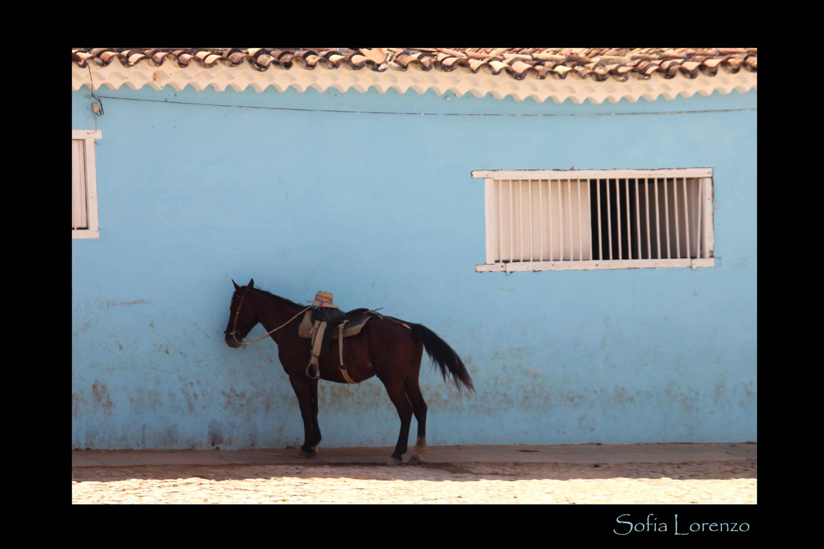 El Caballo