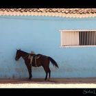 El Caballo