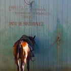 El Caballo espera de Cuba