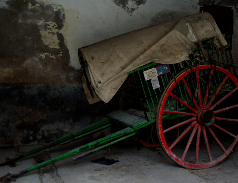 El caballo murió