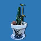 El cactus