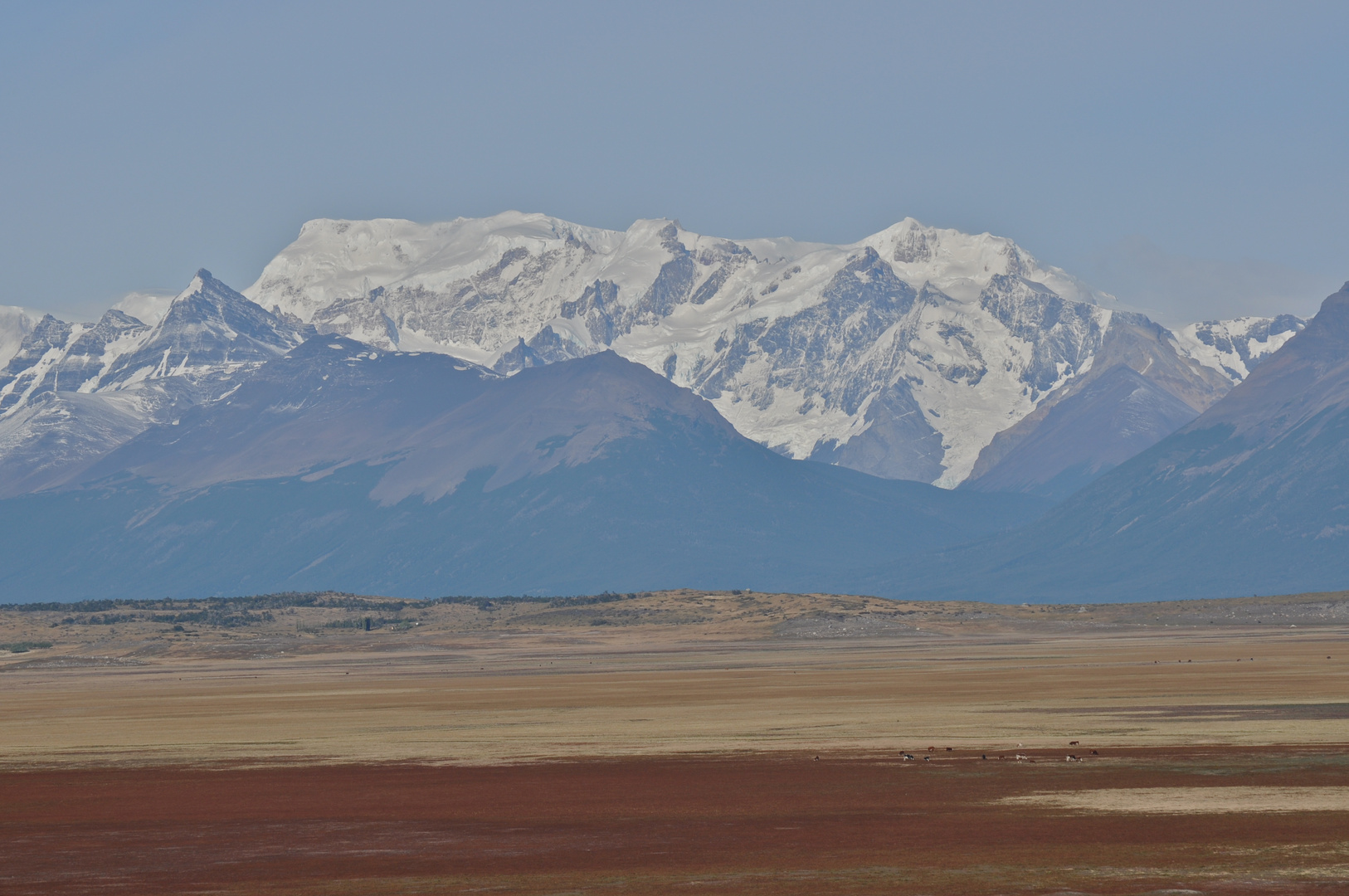 EL CALAFATE - (26-2-2011)