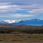 EL CALAFATE