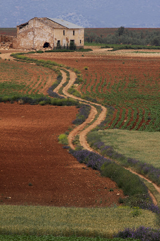 El Camino