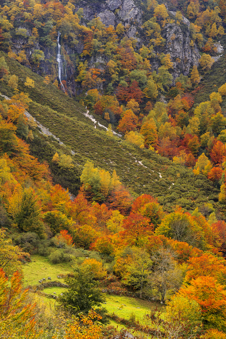 El camino a la cascada.