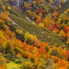 El camino a la cascada.