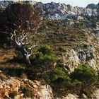 El camino a sa Calobra