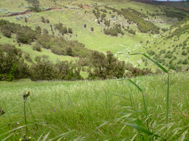 El camino al Garoe.