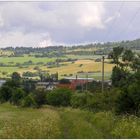 El camino al lago (der Weg zum See)