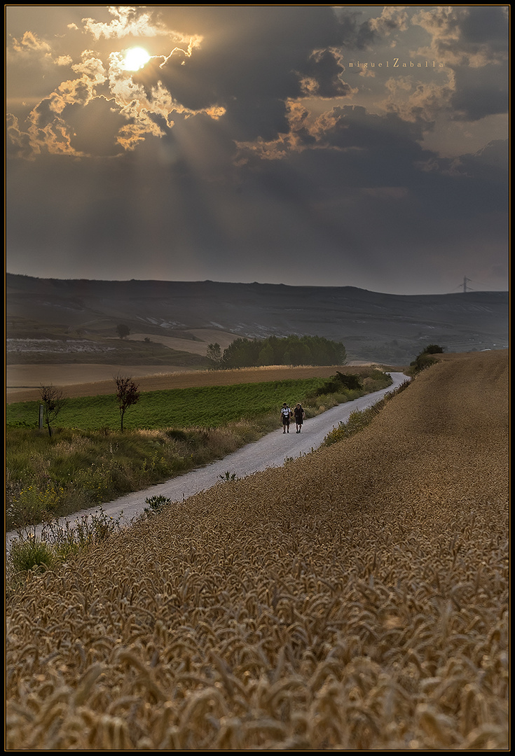 El camino de la luz