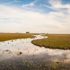 el camino de la vida - Litoral Argentino -