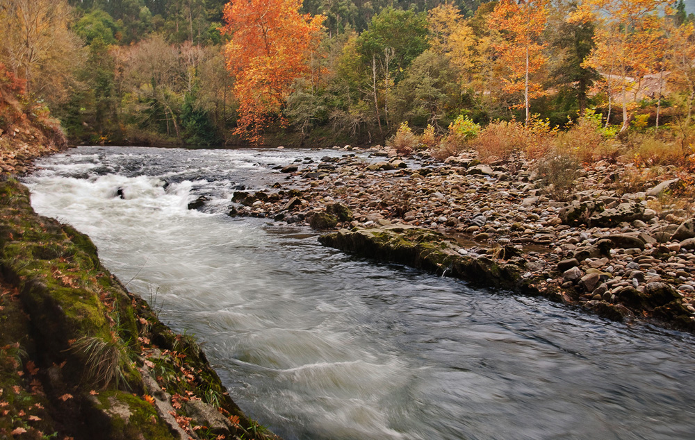 El camino del Agua