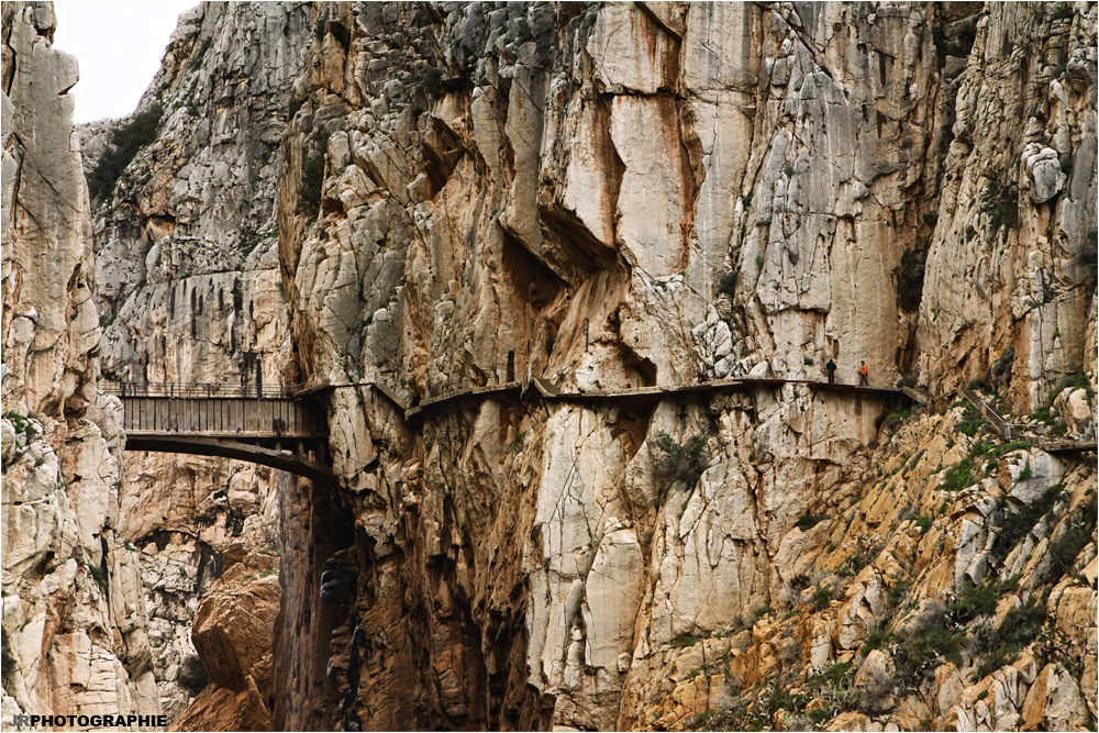 el camino del rey