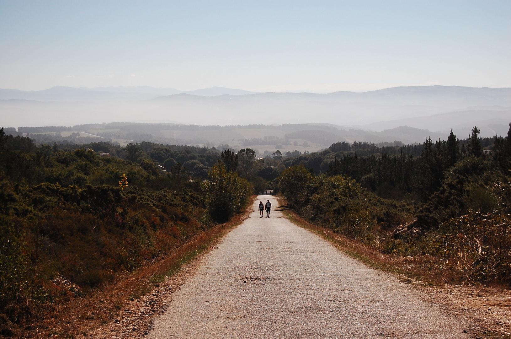 El Camino es la meta