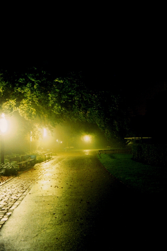 El Camino Hacia La Luz Foto Bild Archiv A R C H I V Aktuell Juegos De Luz Bilder Auf Fotocommunity