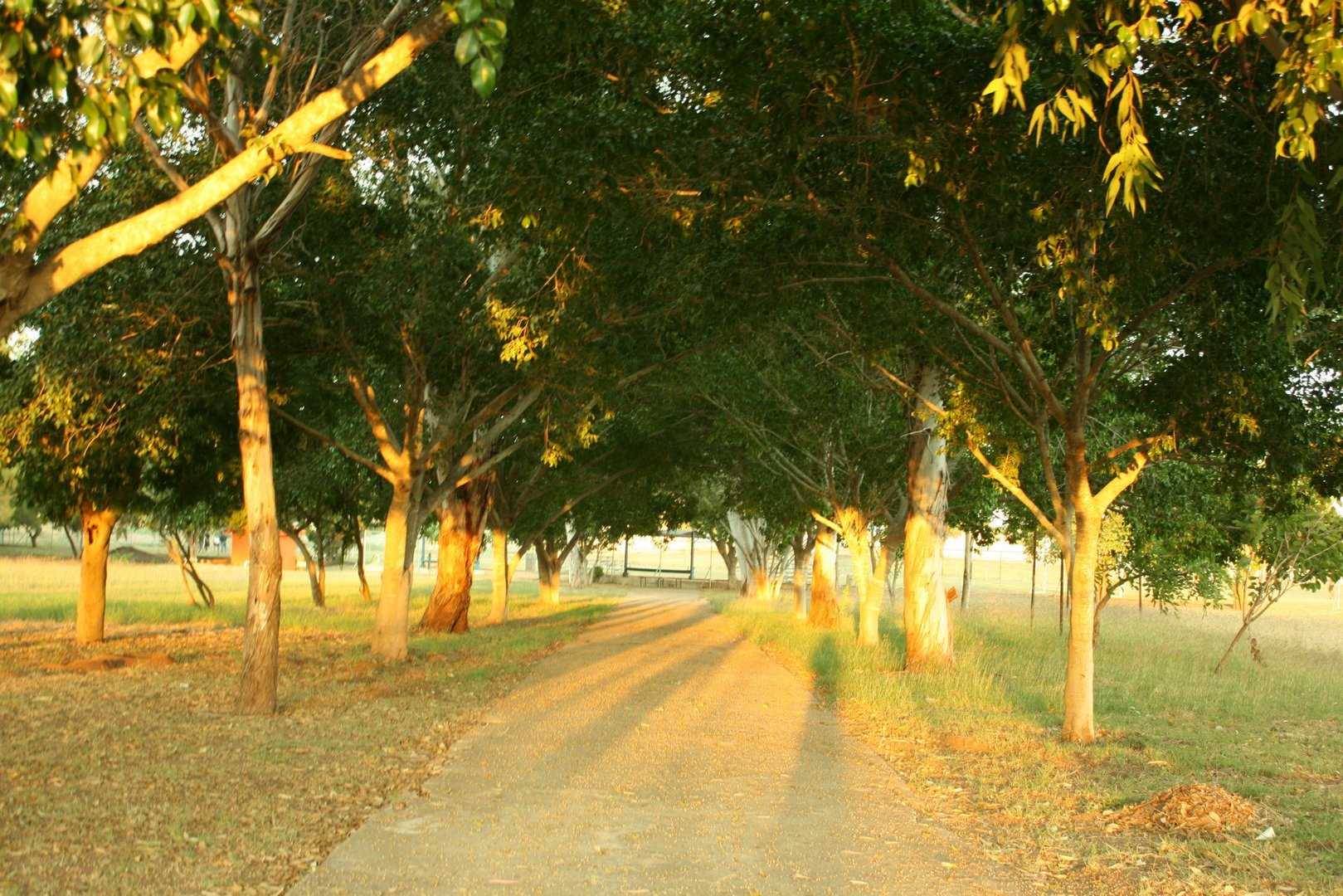 el camino hacia mi paz