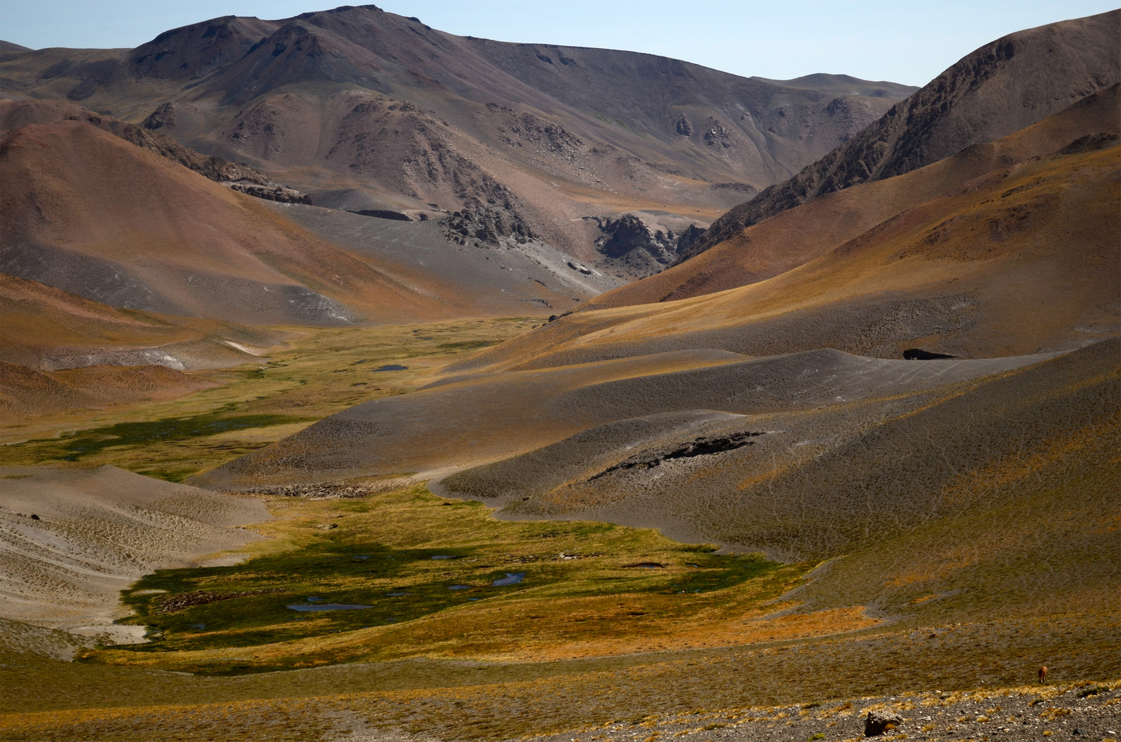 el camino que lleva al volcán