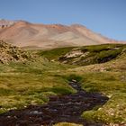 el camino que lleva al volcán