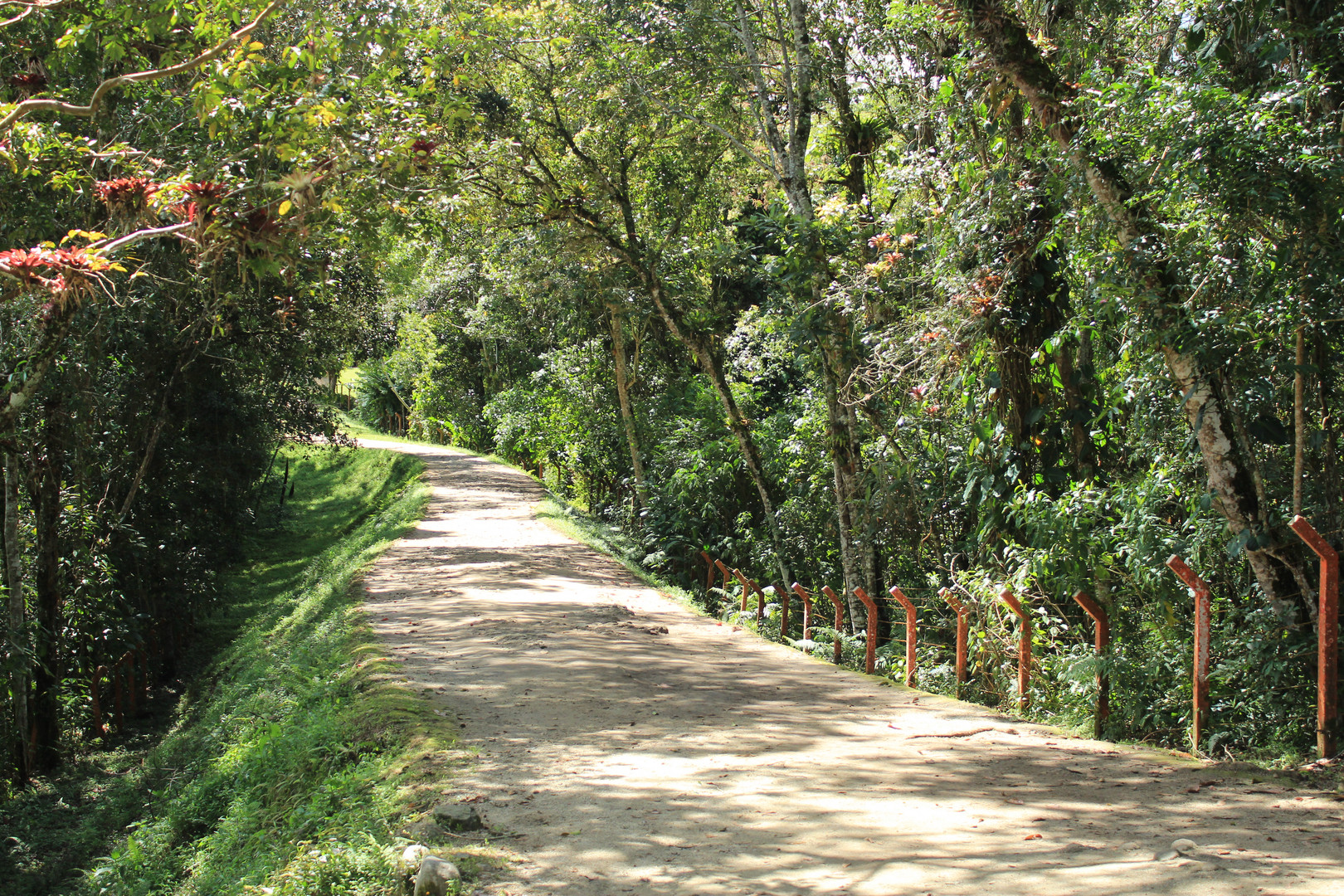 El camino, San Agustin,  Huila, Colombia