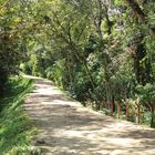 El camino, San Agustin,  Huila, Colombia