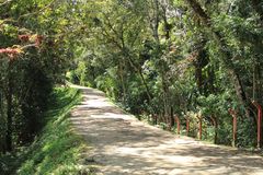 El camino, San Agustin,  Huila, Colombia
