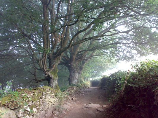 El Camino,Galicia