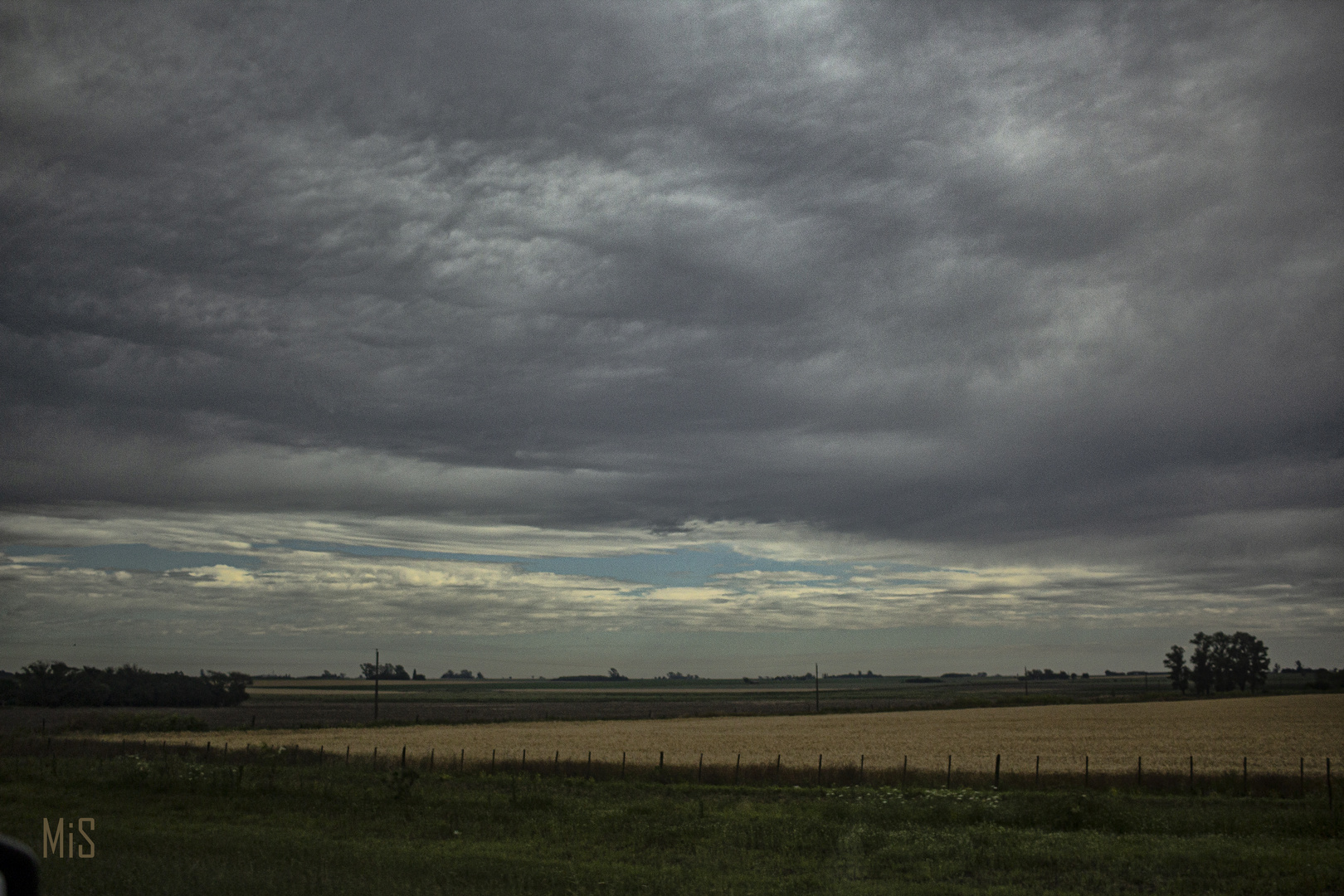 El campo argentino