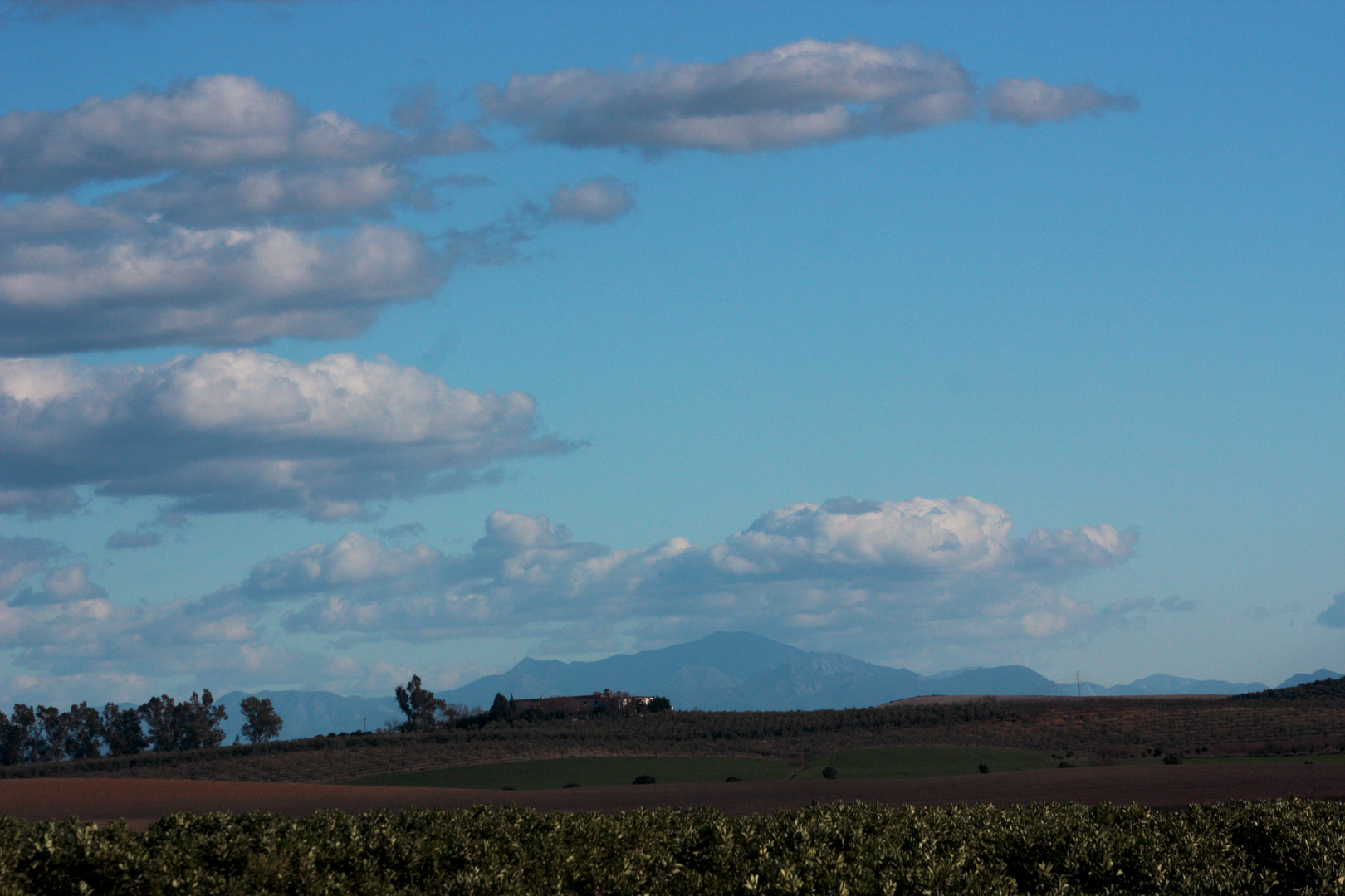 el campo va despertando a la primavera