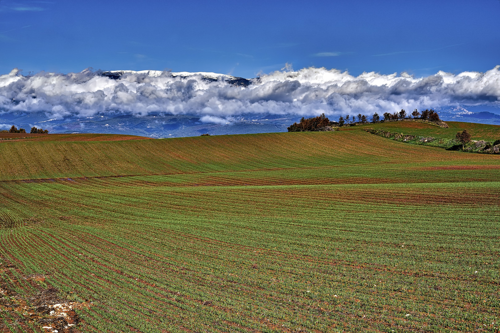 El campo y la montaña