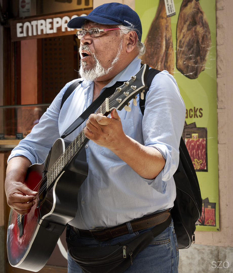 El Cantante