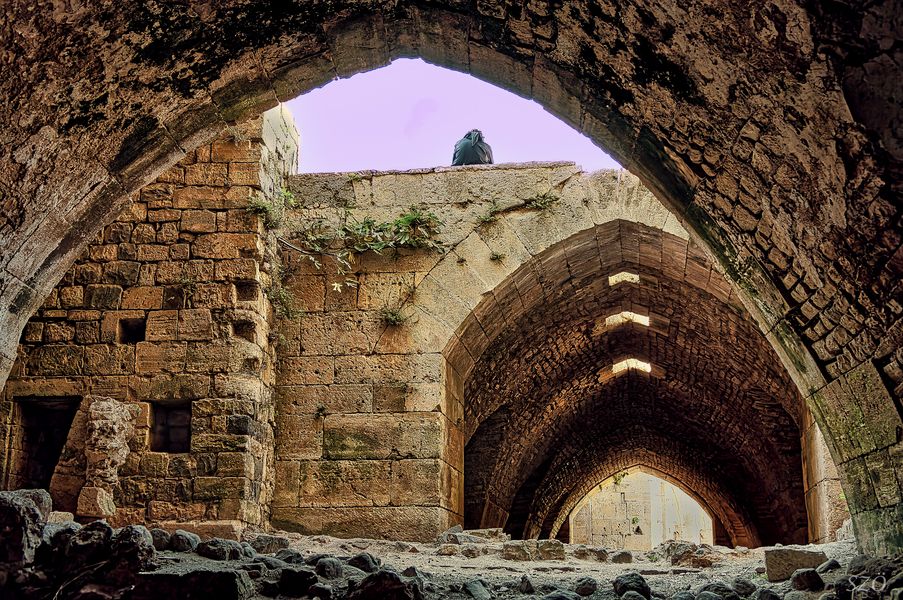 El Castlllio del Crac de Los caballeros