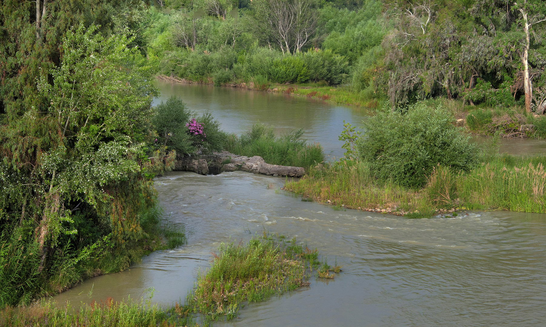 EL CAUCE DEL RÍO