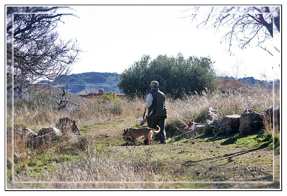 El cazador con sus perros