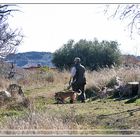 El cazador con sus perros