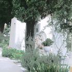 El cementerio II