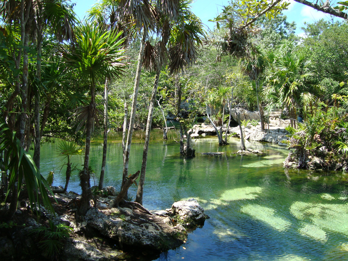 EL CENOTE AZUL