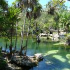 EL CENOTE AZUL