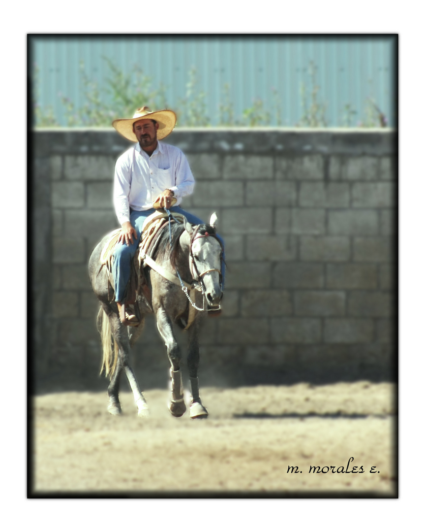 EL CHARRO Y SU CABALLO