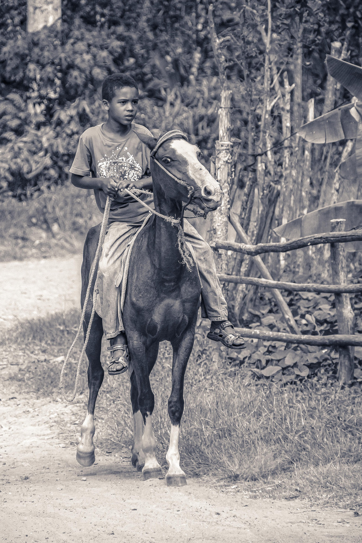 El Chico Del Caballo