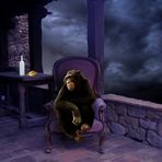 El chimpancé melancólico