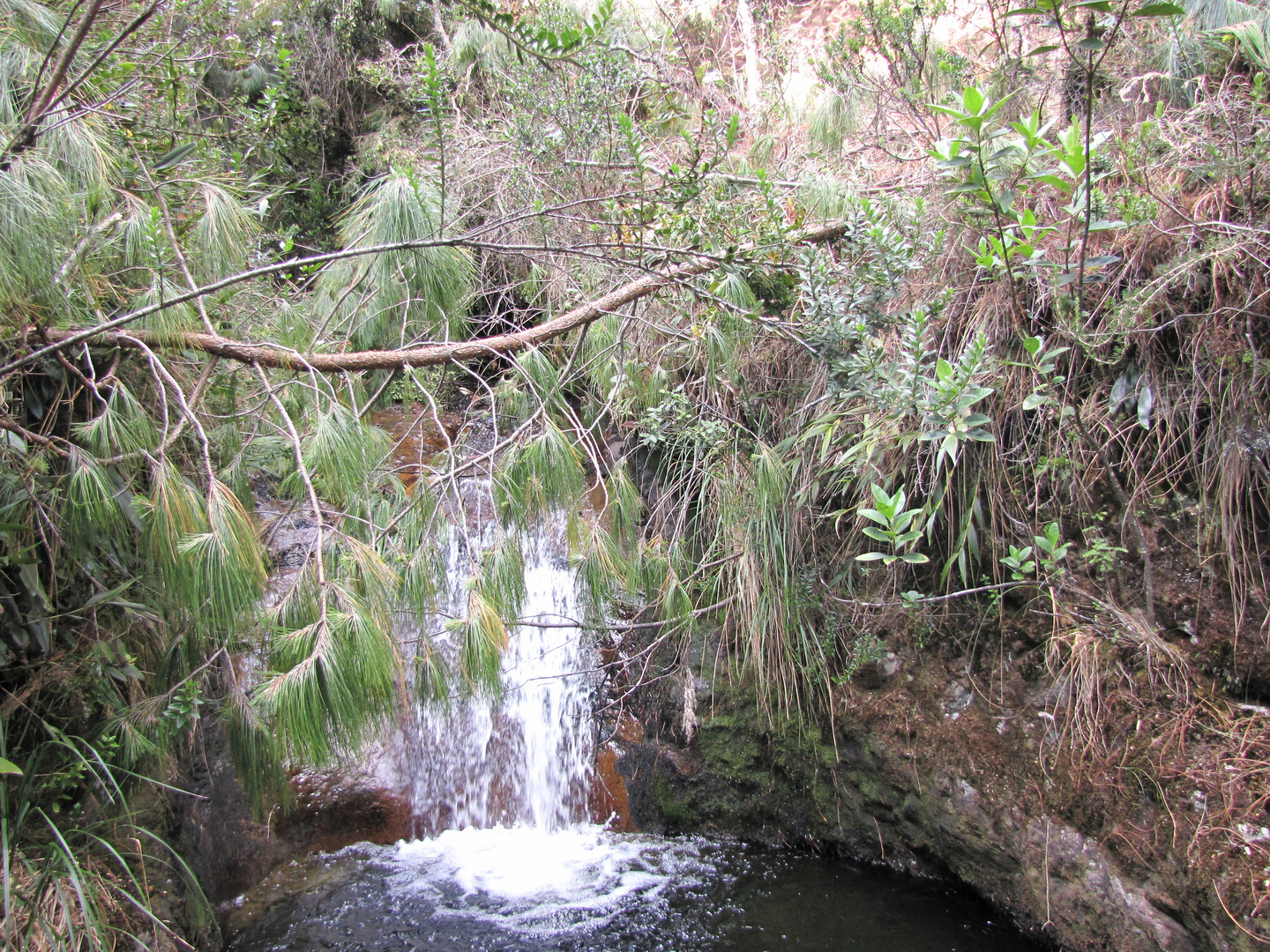 EL CHORRO