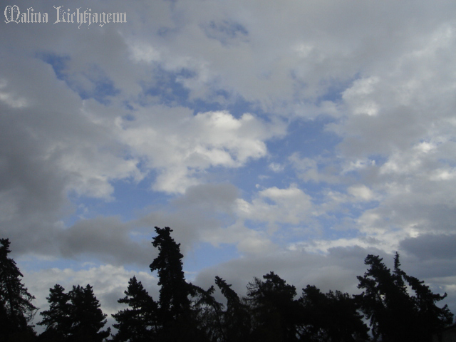 El Cielo de mi Abuelo