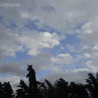 El Cielo de mi Abuelo