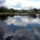 El cielo en el suelo