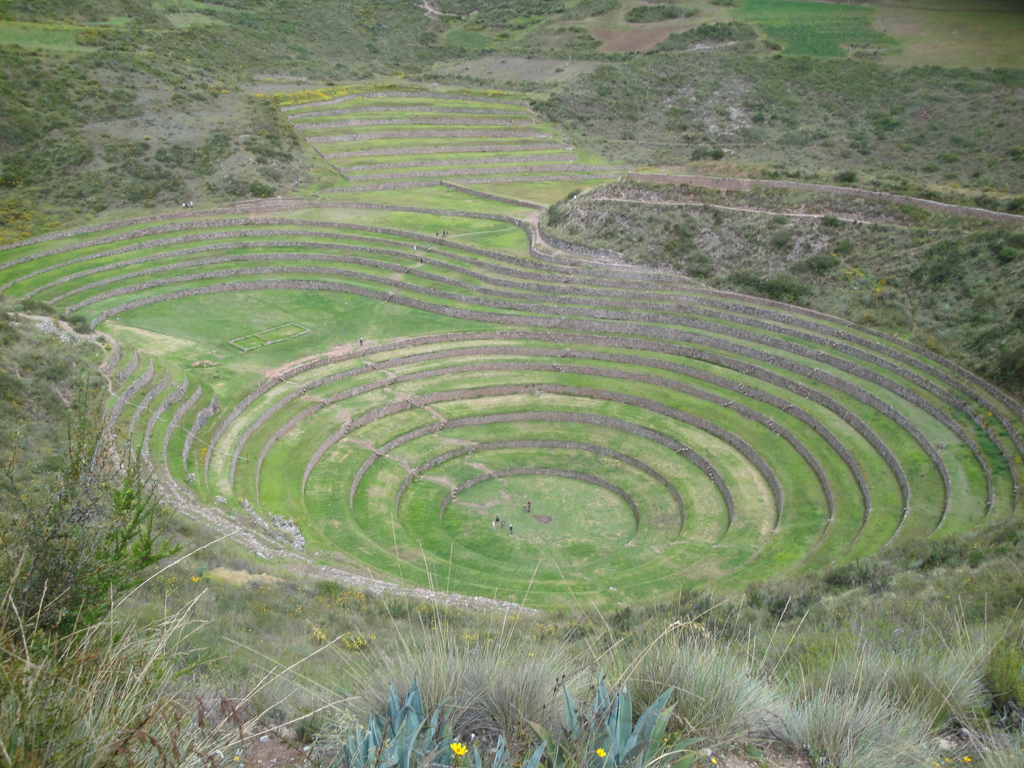 El círculo mágico