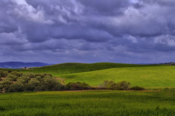 EL COLOR DE LA CAMPIÑA